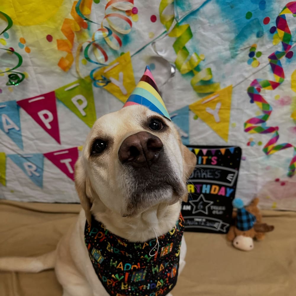 Happy Birthday Jakey!!